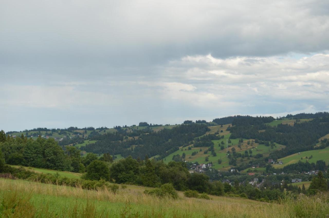 Apartament Nad Tatrzanska Pasieka Bialy Dunajec Luaran gambar