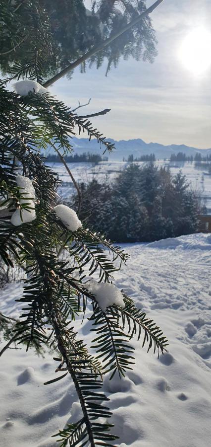 Apartament Nad Tatrzanska Pasieka Bialy Dunajec Luaran gambar