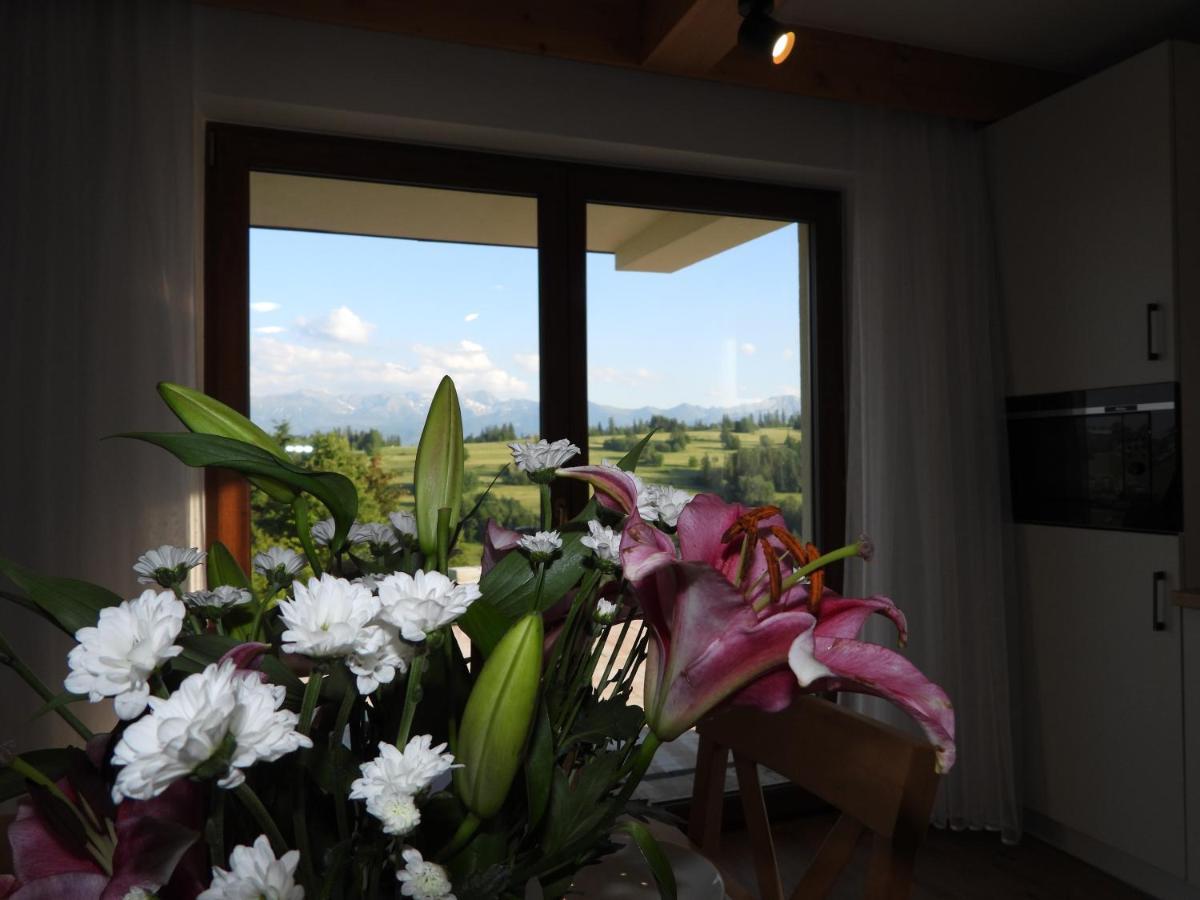Apartament Nad Tatrzanska Pasieka Bialy Dunajec Luaran gambar