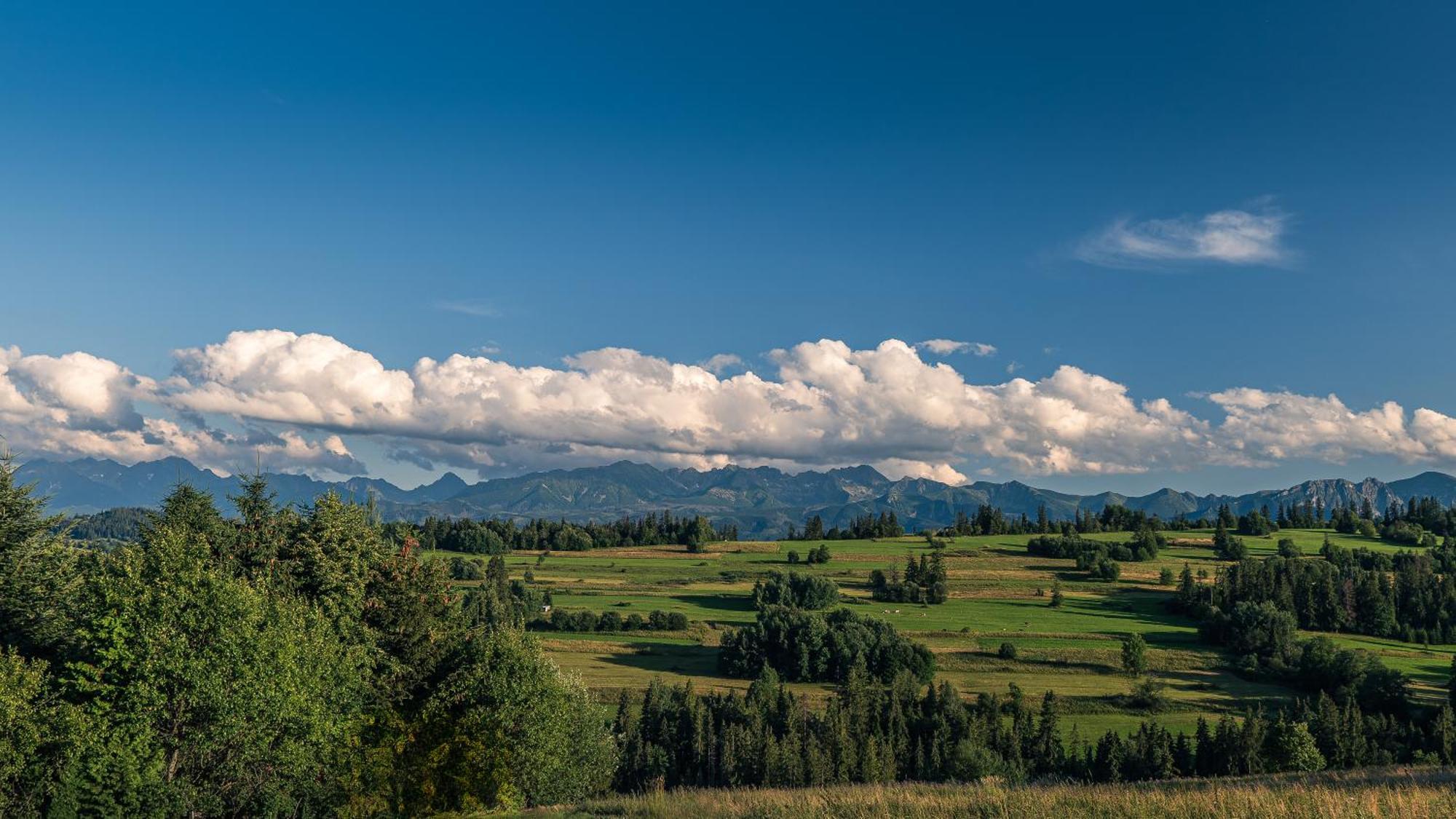 Apartament Nad Tatrzanska Pasieka Bialy Dunajec Luaran gambar