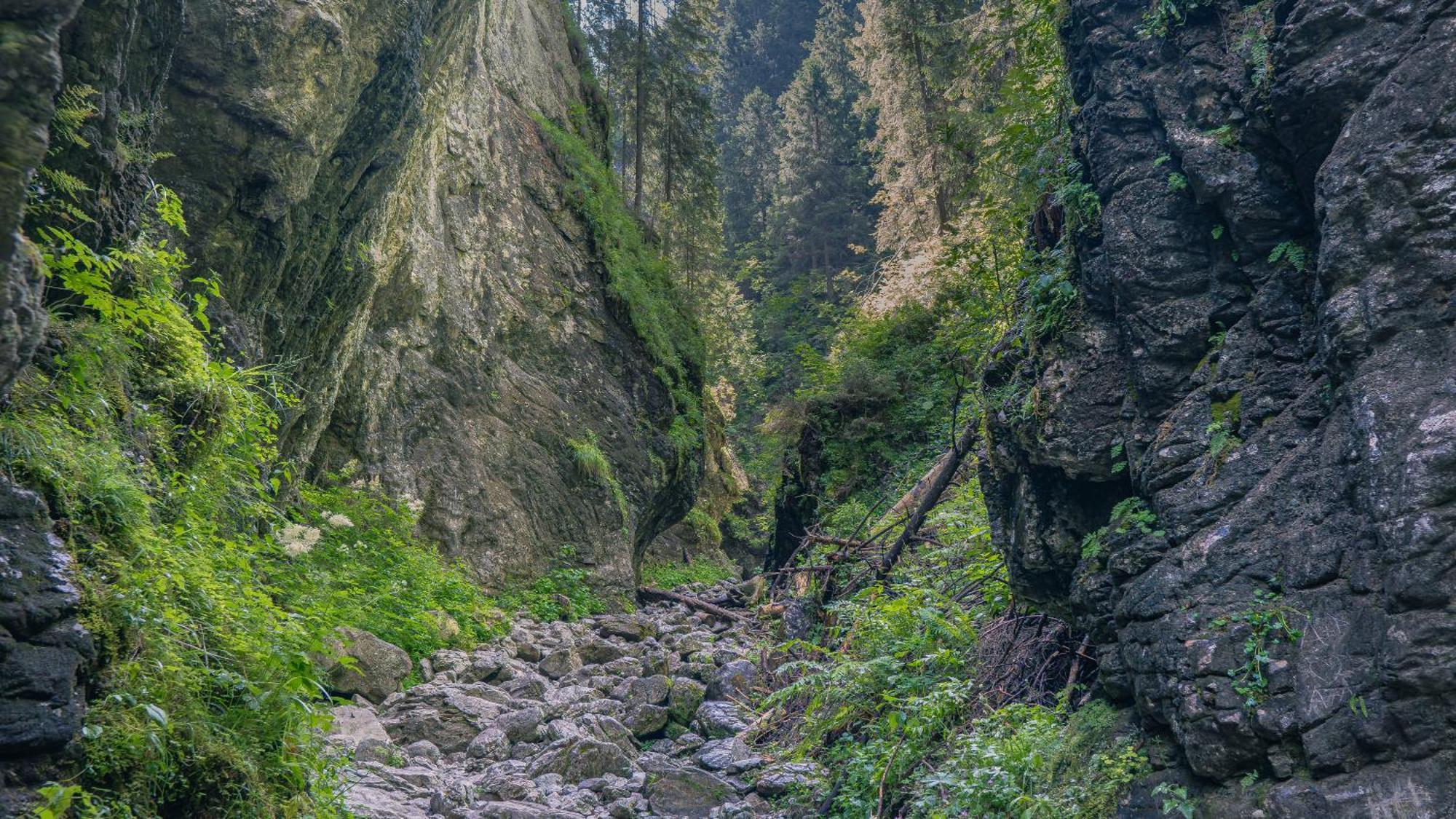 Apartament Nad Tatrzanska Pasieka Bialy Dunajec Luaran gambar