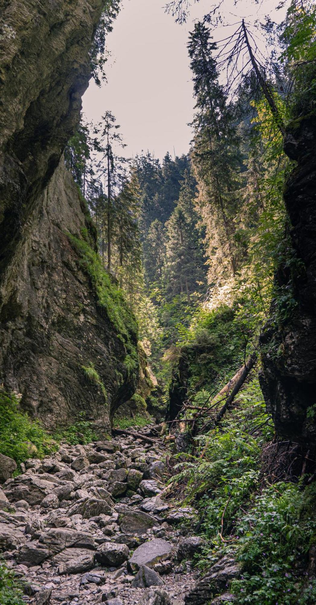 Apartament Nad Tatrzanska Pasieka Bialy Dunajec Luaran gambar